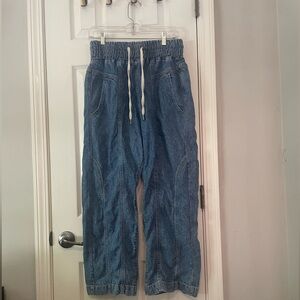 We The Free Arcadia Denim Harem Pants